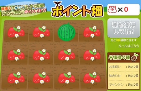 ポイント畑.jpg