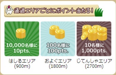 珍獣トライアスロン1.jpg