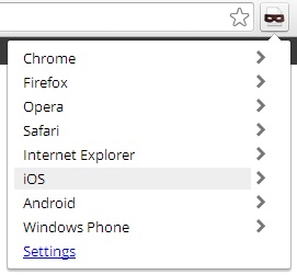Google Chrome1.jpg