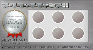 PeX シルバーカード3.jpg