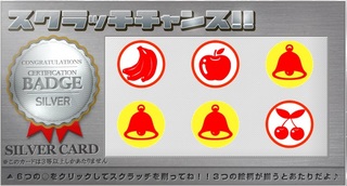 PeX シルバーカード4.jpg